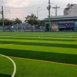 sân bóng đá bắc hải