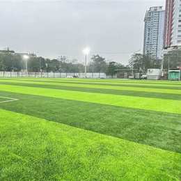 sân bóng đá đầm sen