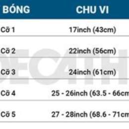 size bóng đá tiêu chuẩn
