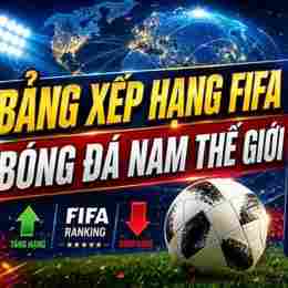 thứ hạng fifa bóng đá nam