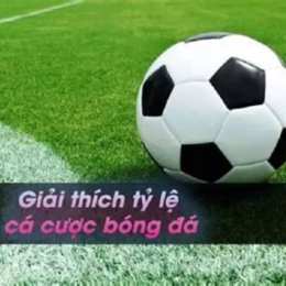 tì so ca cuoc bong da hom nay