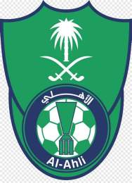 tính năng nổi bật al-ahli saudi – câu lạc bộ bóng đá auckland