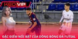 tính năng nổi bật bóng đá futsal nam