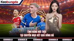 tính năng nổi bật bóng đá hôm quả