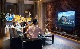 tính năng nổi bật bóng đá mì tôm tv