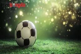 tính năng nổi bật bóng đá tỷ lệ pháp