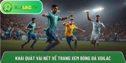 tính năng nổi bật bong đa xôilac