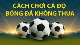 tính năng nổi bật cá độ bóng đá cách chơi