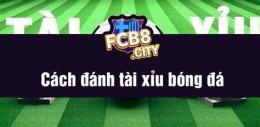 tính năng nổi bật cách đánh tài xỉu bóng đá