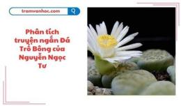 tính năng nổi bật chủ đề của truyện đá trổ bông