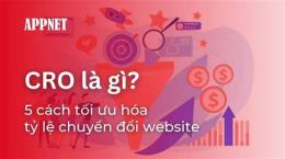 tính năng nổi bật cro là gì trong bóng đá