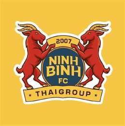 tính năng nổi bật đá bóng ninh bình
