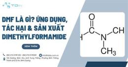 tính năng nổi bật dmf là gì trong bóng đá