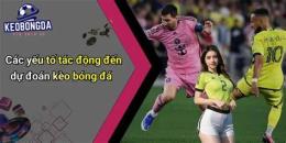 tính năng nổi bật du doan keo bong da