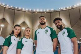 tính năng nổi bật giải bóng đá arab saudi