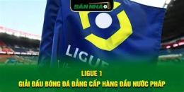 tính năng nổi bật giải bóng đá ligue 1