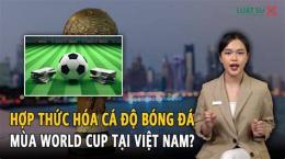 tính năng nổi bật hợp thức hoá cá độ bóng đá