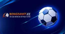 tính năng nổi bật keo bong đa c1
