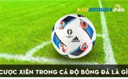 tính năng nổi bật kèo bóng đá ngoại hạng đức