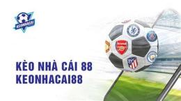 tính năng nổi bật keo nha cai bong da bet88