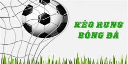 tính năng nổi bật kèo rung bóng đá là gì