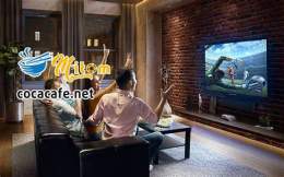 tính năng nổi bật mì tôm tv trực tiếp bóng đá