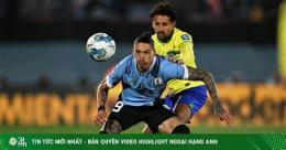 tính năng nổi bật nhận định bóng đá brazil sáng nay