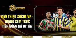 tính năng nổi bật những trang đá bóng uy tín