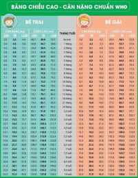 tính năng nổi bật quả bóng đá nặng bao nhiêu kg