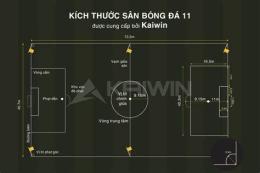 tính năng nổi bật sân bóng đá 11