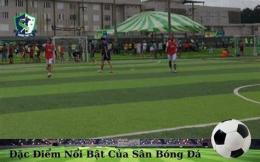 tính năng nổi bật sân bóng đá celadon