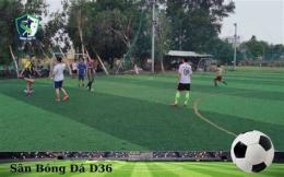 tính năng nổi bật sân bóng đá d36
