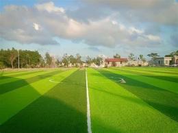 tính năng nổi bật sân bóng đá quận 8