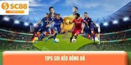 tính năng nổi bật soi keo bong đa 88