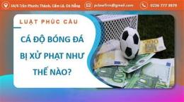 tính năng nổi bật to chức cá độ bóng đá bị phạt như the nào