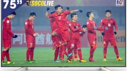 tính năng nổi bật trực tiếp bóng đá 91