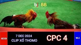 tính năng nổi bật trực tiếp bóng đá gà thomo