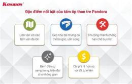 tính năng nổi bật tt bóng dá