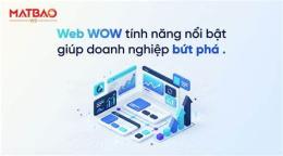 tính năng nổi bật tư vấn bóng đá