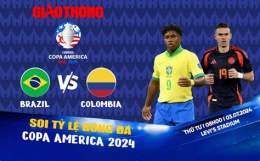 tính năng nổi bật tỷ lệ bóng đá brazil