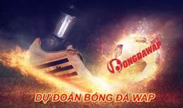 tính năng nổi bật tyle bong da wap