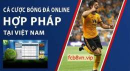 tính năng nổi bật web ca do bong da uy tin