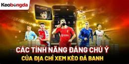 tính năng nổi bật xem keo da bong