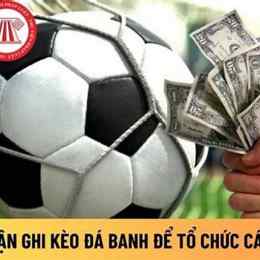 to chức cá độ bóng đá bị phạt như the nào