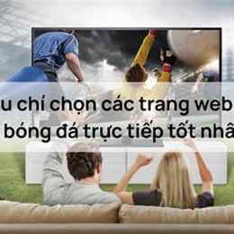 trang web đá bóng