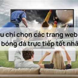 trang web trực tiếp bóng đá