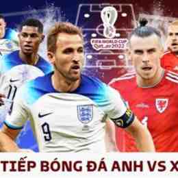 trực tiếp bóng đá anh world cup