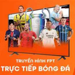 trực tiếp bóng đá đài truyền hình vĩnh long