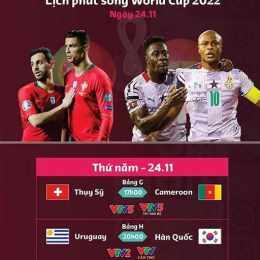 truyền hình trực tiếp world cup bóng đá