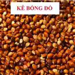 ty ke bong da